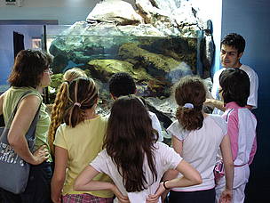 Attività al CEA WWF di Miramare (Ts)
© WWF Italia/Barbara Albonico Attività al CEA WWF di Miramare (Ts)
© WWF Italia/Barbara Albonico