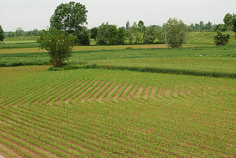 agricoltura di pianura
© Sara Bragonzi rel=