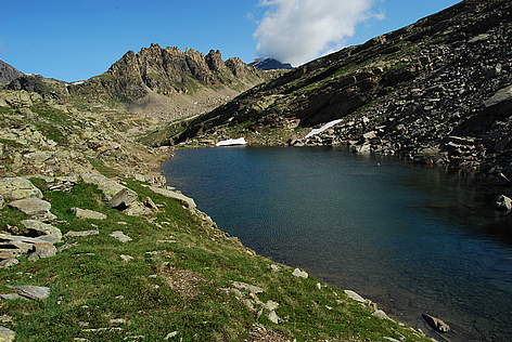 Alpi Gran Paradiso
© wwf italia foto Sara Bragonzi Alpi Gran Paradiso rel=
