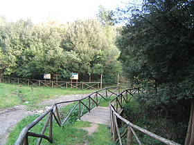 Oasi WWF Bosco Camerine
© Alberto Scorziello
© Alberto Scorziello