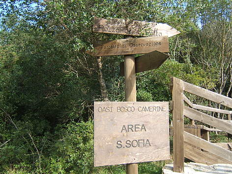 Oasi WWF Bosco Camerine
© Alberto Scorziello rel=