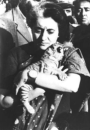 Indira Gandgi, Primo Ministro dell'India, con in braccio un cucciolo di tigre. Madrina del progetto ...
© WWF Intl./Indian Government Press Information
© WWF Intl./Indian Government Press Information