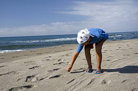 Soci del WWF
© F. Mirabile Giornata dedicata alla pulizia della spiaggia di Burano. rel=