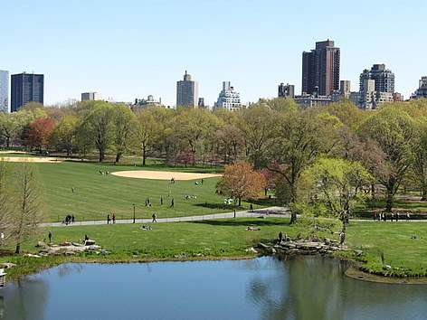 New York
© L. Biancatelli rel=