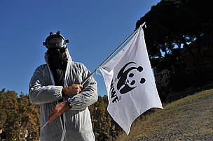 Manifestazione2011 Fermiamo il nucleare
© ArchivioWWF
© ArchivioWWF