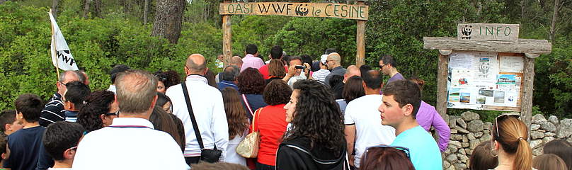 Oasi Le Cesine
© Giuseppe Dematteis
© Giuseppe Dematteis