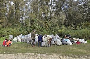 I rifiuti raccolti dai volontari nell'Oasi di Panarella
© WWF Italia I rifiuti raccolti dai volontari nell'Oasi di Panarella
© WWF Italia