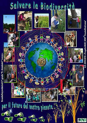 Scuole Biodiverse Sec I grado Ammirato Lecce
© WWF Italia/MIUR Scuole Biodiverse Sec I grado Ammirato Lecce
© WWF Italia/MIUR