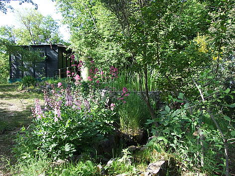 Orto Botanico di Collepardo
© M. Mangiapelo rel=