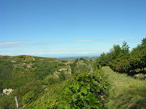 Forteto della Luja
© G. Baldizzone rel=