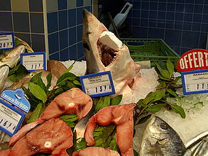 Roma, banco di una pescheria
© Lucio Biancatelli
© Lucio Biancatelli