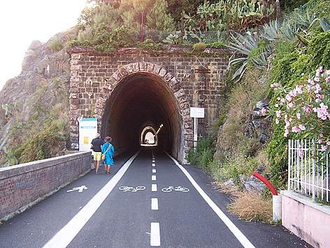 Tunnel
© WWF rel=