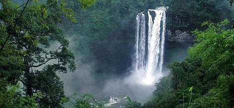 Waterfall on the Bolavan Plateau, Champasak Province, southern Lao PDR.
© WWF rel=