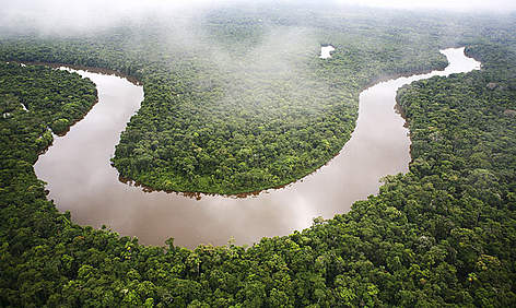 Foresta amazzonica. Regione Loreto, Perù.
© Brent Stirton / Getty Images rel=