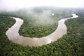 Foresta amazzonica. Regione Loreto, Perù.
© Brent Stirton / Getty Images
© Brent Stirton / Getty Images