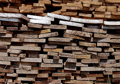 Disboscamento illegale a Ilagan, Isabela, Filippine
© WWF-Philippines / Gregg Yan rel=