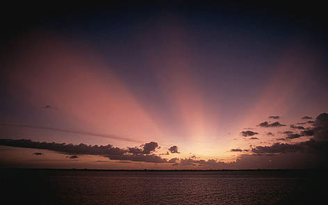Tramonto sul fiume Guama, foresta dell'Amazzonia occidentale
© Edward Parker / WWF rel=