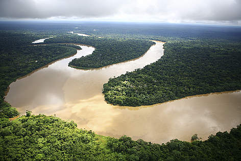 Veduta aerea della foresta amazzonica.
© Brent Stirton / Getty Images rel=