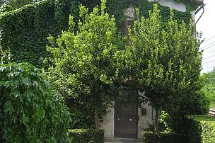 Il CEA WWF di Alviano (Pg)