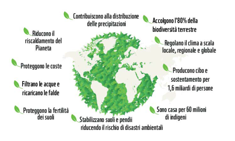 foreste